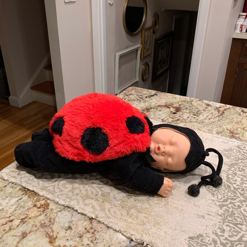 Vintage Anne Geddes Ladybug baby